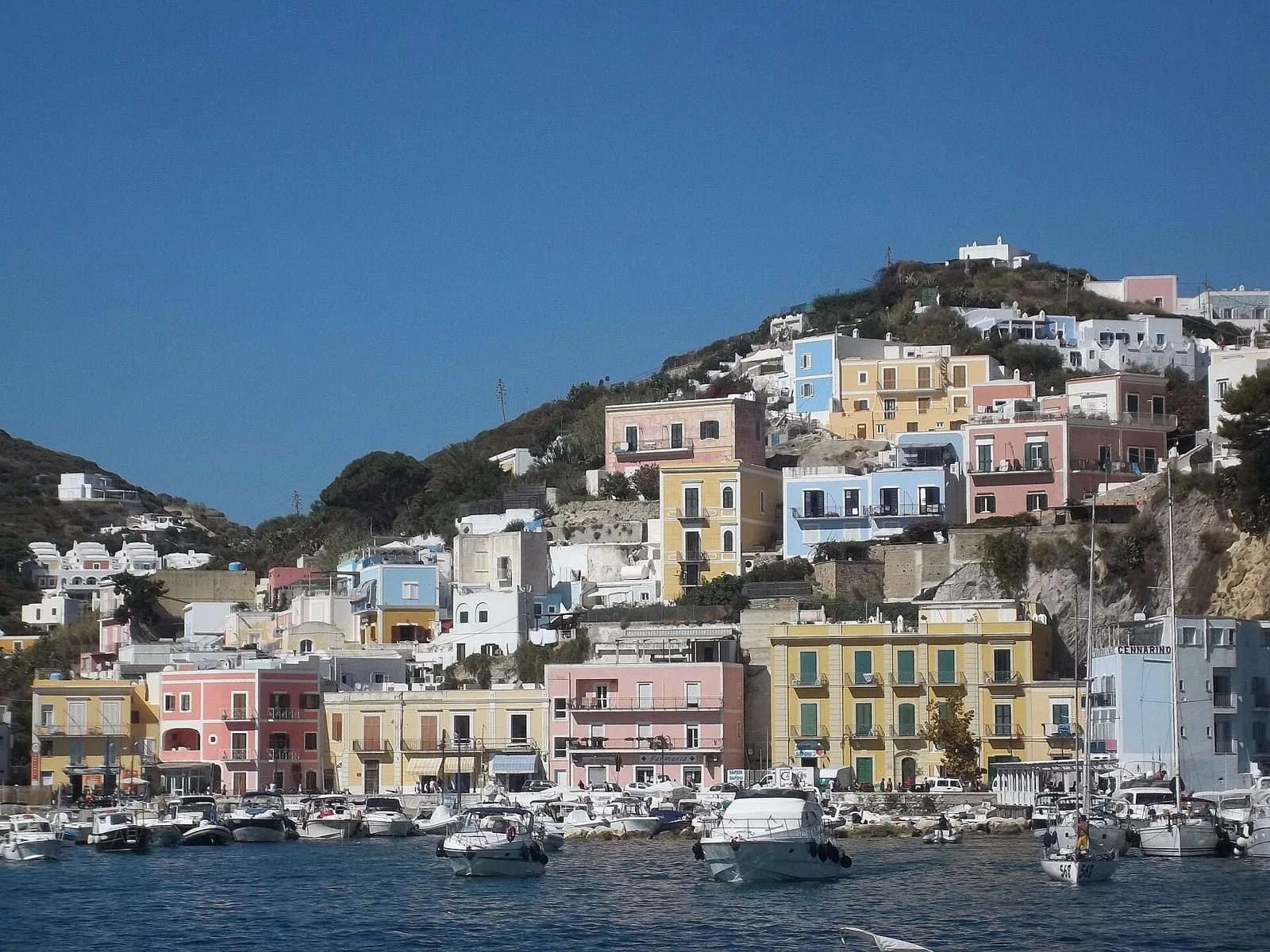 Il porto di Ponza visto dal mare, con le case color pastello disposte sulla collina e le barche ormeggiate davanti
